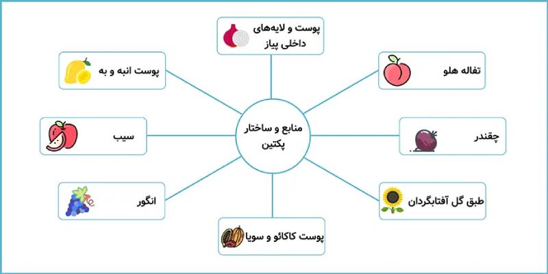 منابع و ساختار پکتین